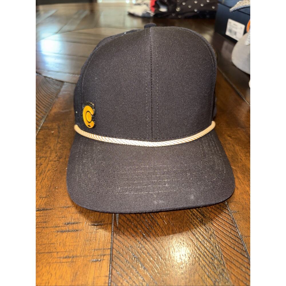 Seedless Premium Brand Clothing Co Black Adjustable Hat Cap 10 yr Anniversary